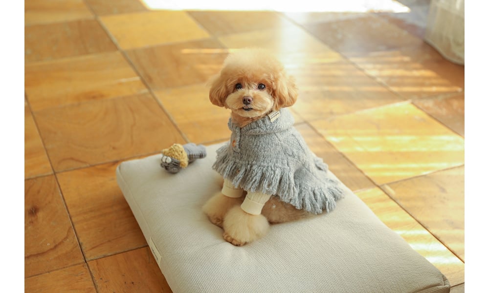 犬服・アクセサリー ba&ttang ba&ttang 】ポンチョニットコート （グレー） | t&t_select