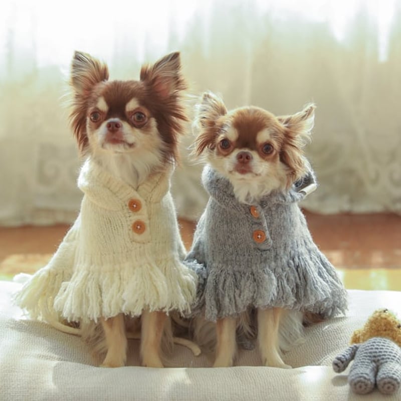 Open yy カウチン グレー ペット クラブ ニット リボン ハート 犬 猫 OPEN YY Pet Club Cardigan in Gray | Lyst