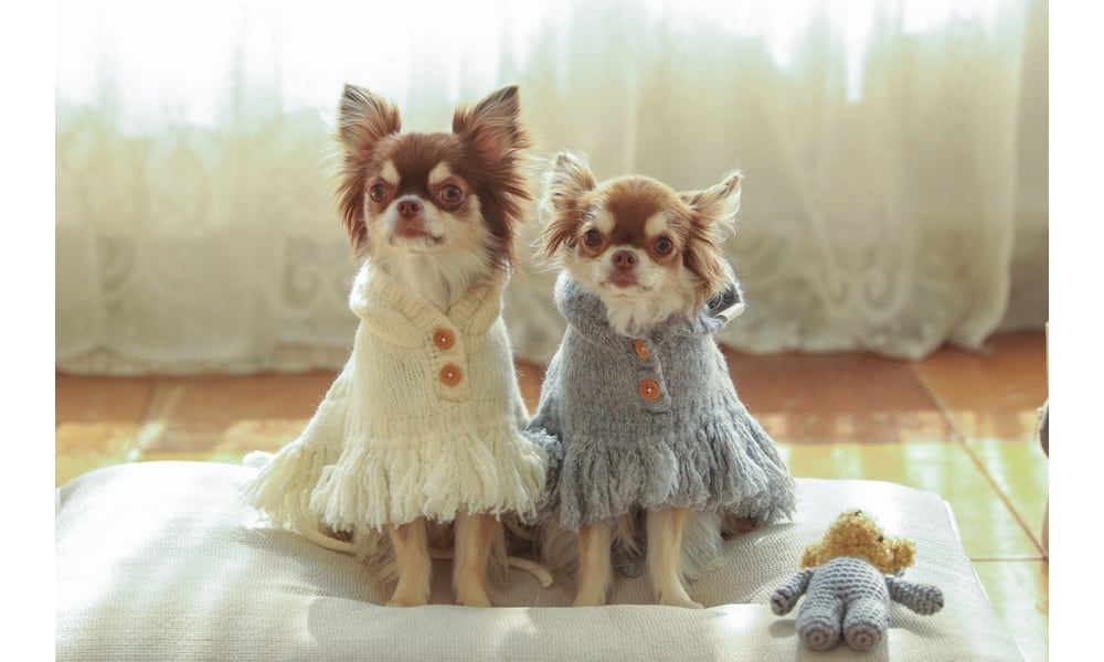 犬服・アクセサリー ba&ttang ba&ttang 】ポンチョニットコート （グレー） | t&t_select