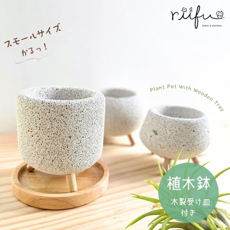 プラントポット | STORES