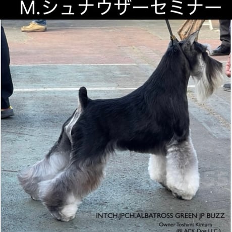 M.シュナウザーセミナー2025/2/20