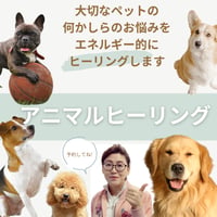 プラグイン式アニマルヒーリング