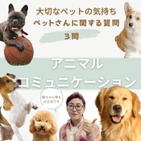 アニマルコミュニケーション