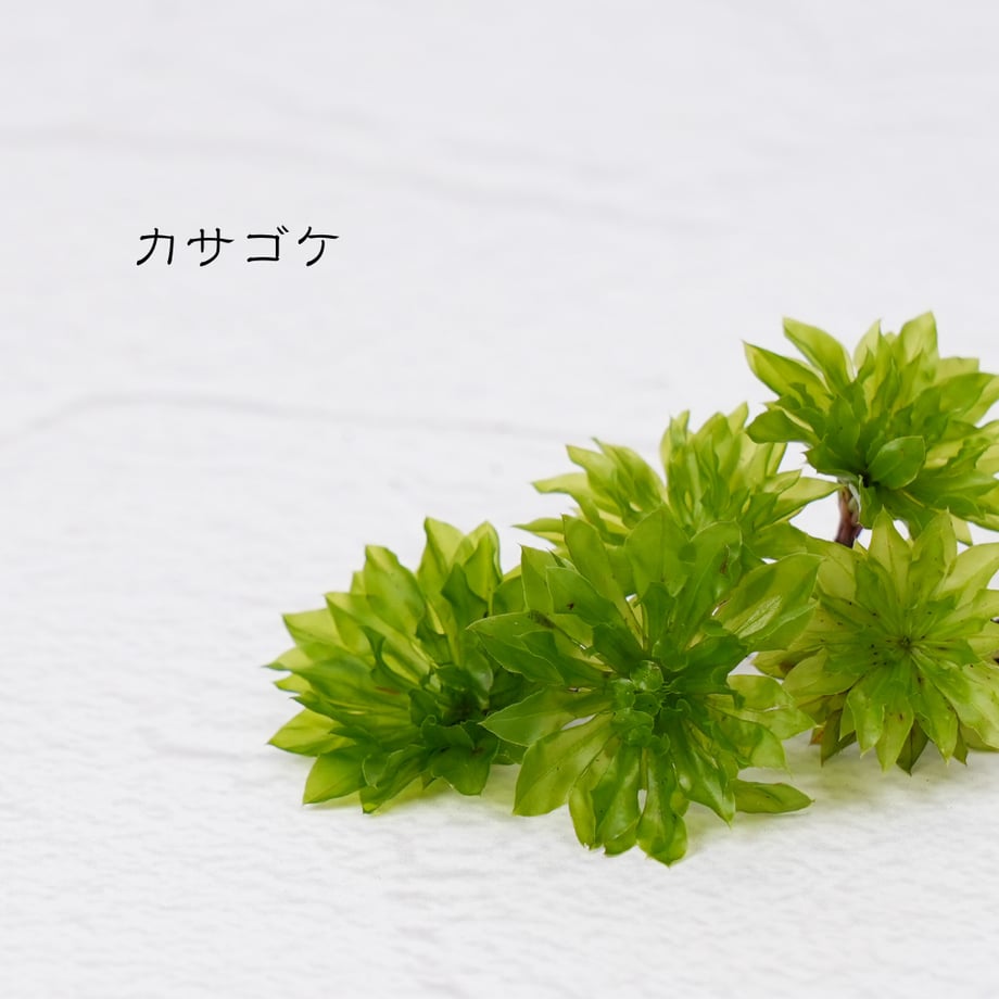 672ddf4bb7a32b00b57e3d35