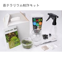 【苔テラリウム制作キット】コケ5種類で作る苔テラリ ウムガラスボール容器（蓋付き）