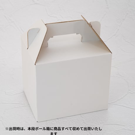 【苔テラリウム制作キット】コケ5種類で作る苔テラリ ウムガラスボール容器（蓋付き）