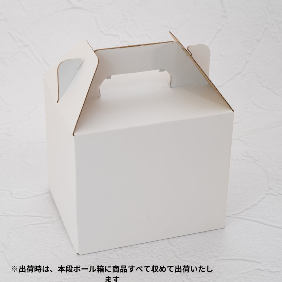 67237d563626e40e41325c7d
