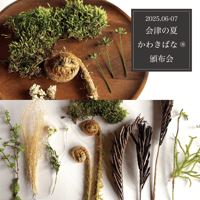 会津の夏かわきばな®︎頒布会（花材販売・7月号）