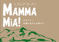 送料追加分（５個～）