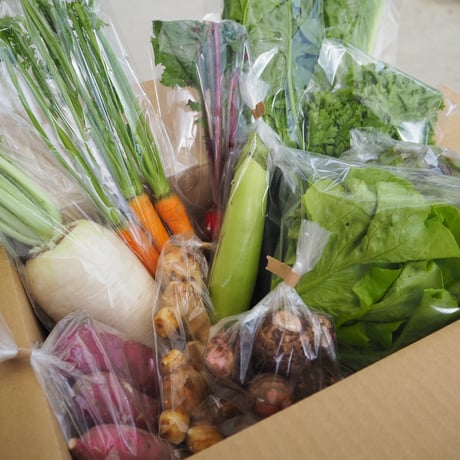 【お試し品】自然栽培　季節の野菜セット　※おひとり様2回まで