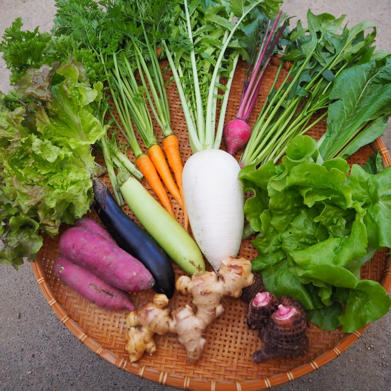 CATEGORY 野菜 | 森ねずみの畑 トトファーム