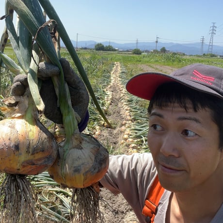 自然栽培　旨みのギュッと詰まったタマネギ（徳島県産）