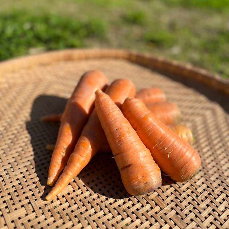 CATEGORY 野菜 | 森ねずみの畑 トトファーム