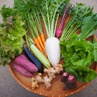 【定期便】自然栽培　季節の野菜セット