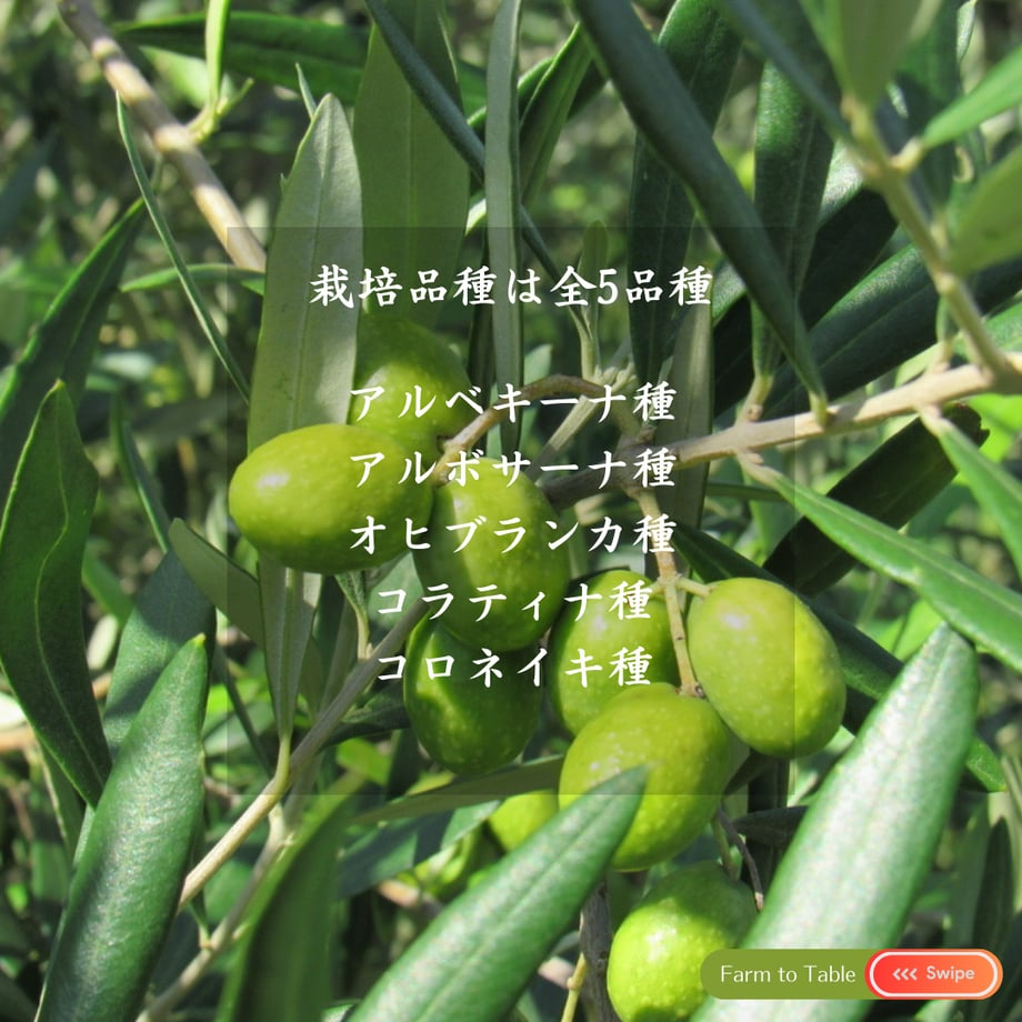 6764381a646cf114db0f5edd