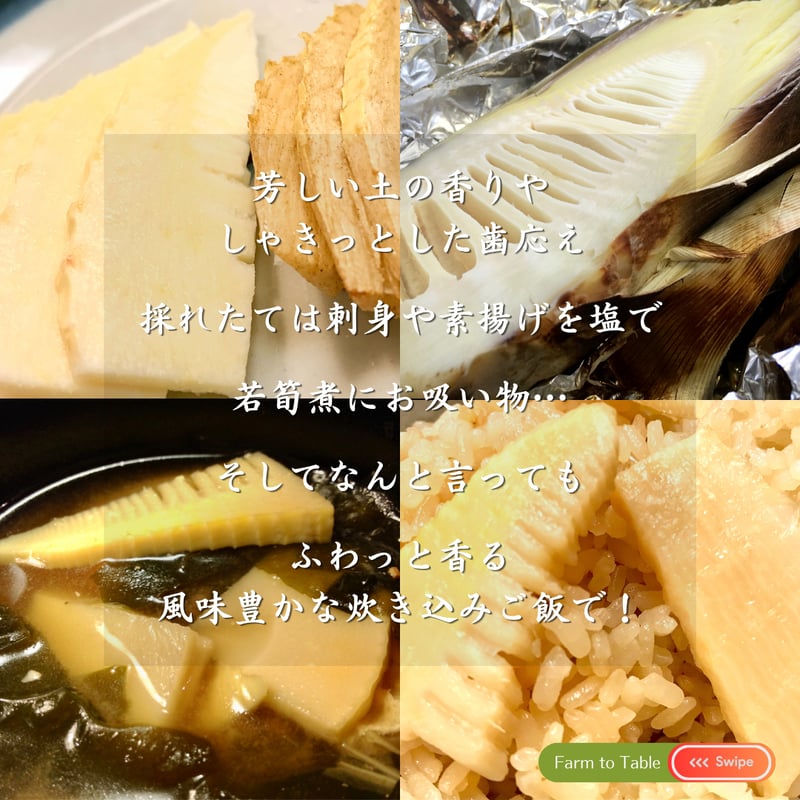 今季終了】4月限定 ☆ 掘ってすぐに直送！筍 特別便 | 72veggie shop