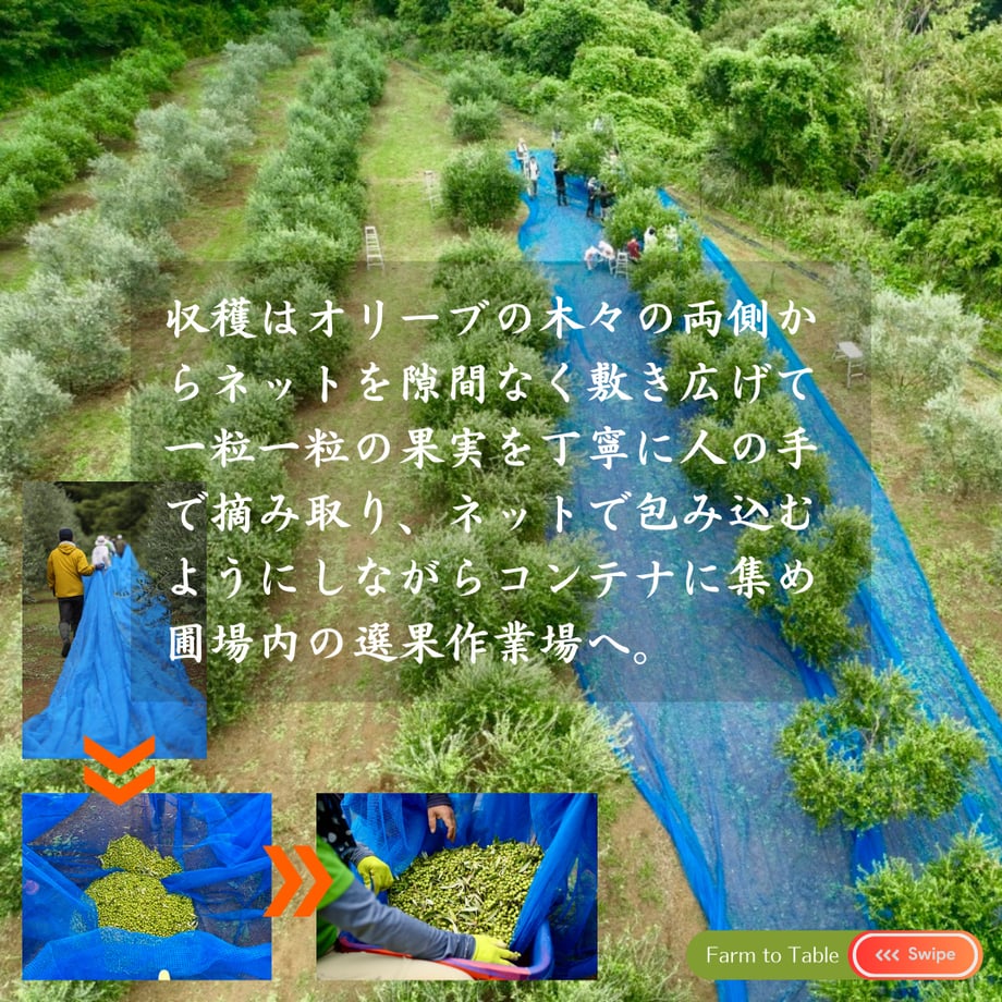 676554acfafd8b060e64ac7a
