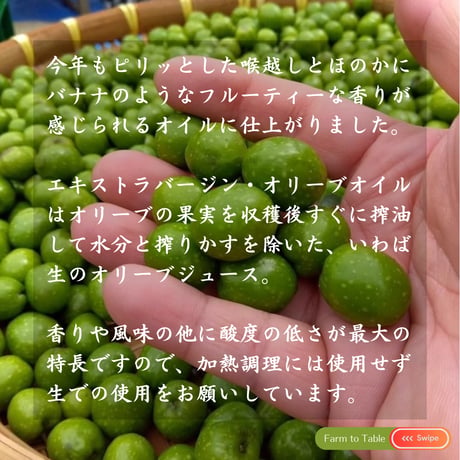 【完売御礼・単品購入】2025年秋収穫 静岡県産 手摘みオリーブオイル 100ml ☆ Fontana di oliva（オリーブの泉）5品種ブレンド