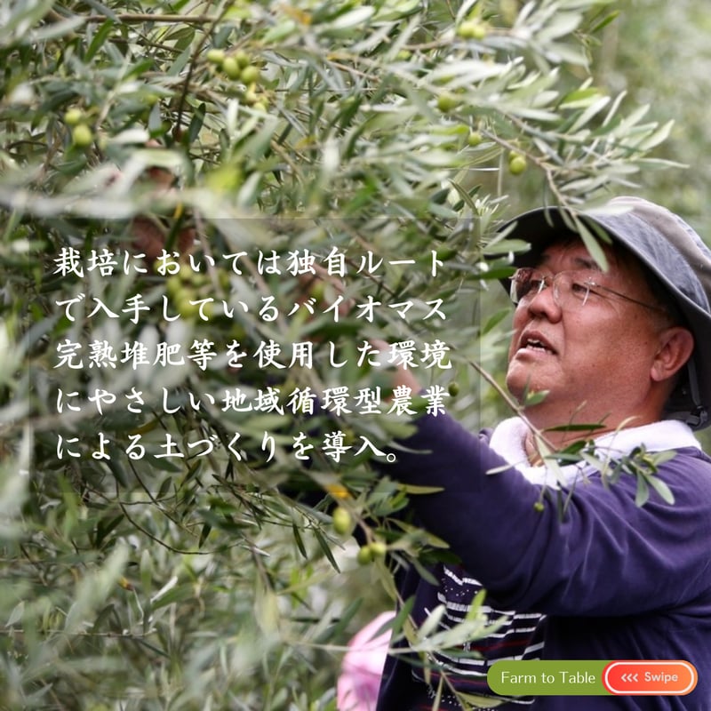 単品購入】2025年秋収穫 静岡県産 手摘みオリーブオイル 100ml
