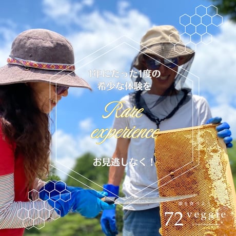 【満員御礼・終了】参加チケット 🍯 採蜜体験会 5/31（日）搾りたて天然蜂蜜お土産付き