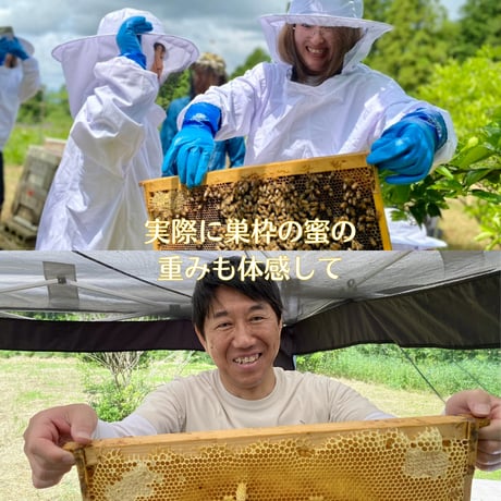 【満員御礼・終了】参加チケット 🍯 採蜜体験会 5/31（日）搾りたて天然蜂蜜お土産付き
