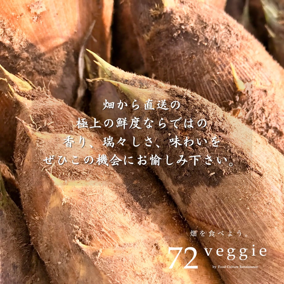 69db3338401c317448495d71