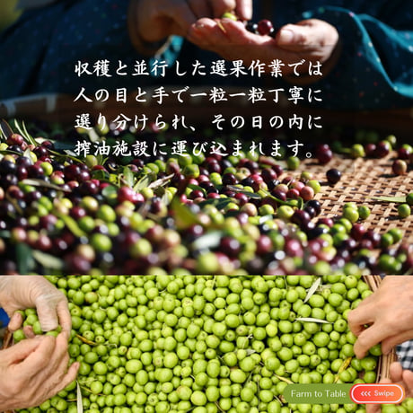 【完売御礼・野菜商品に同梱・送料節約】2025年秋収穫 静岡県産 手摘みオリーブオイル 100ml ☆ Fontana di oliva（オリーブの泉）5品種ブレンド