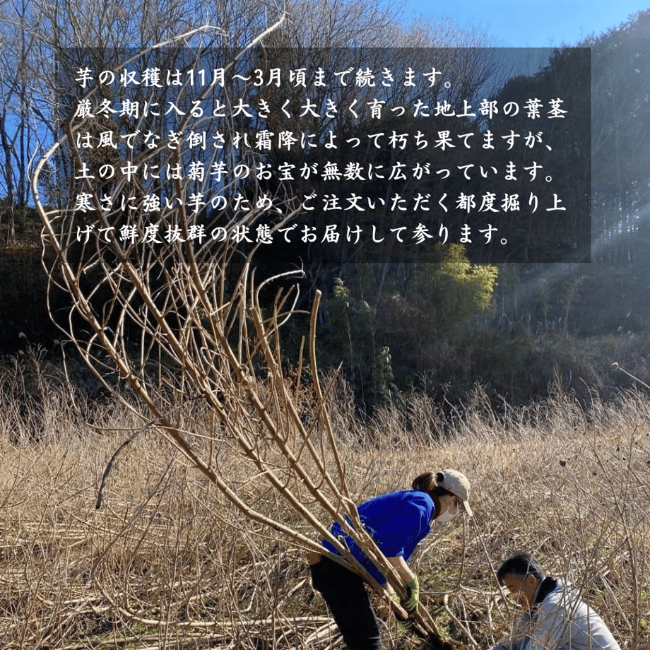 6911f78920d2995e0f780140