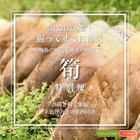 【今季終了】4月限定 ☆ 掘ってすぐに直送！筍 特別便