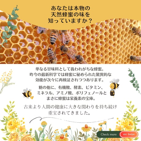 【満員御礼・終了】参加チケット 🍯 採蜜体験会 5/31（日）搾りたて天然蜂蜜お土産付き
