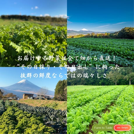 【完売御礼】2025 ☆１番人気！季節のエチュべ特別便 〜冬編〜（Sサイズ：約6〜7人前想定）