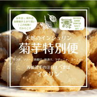 【完売御礼】2025 天然のインシュリン ☆ 菊芋特別便 S（2kg）