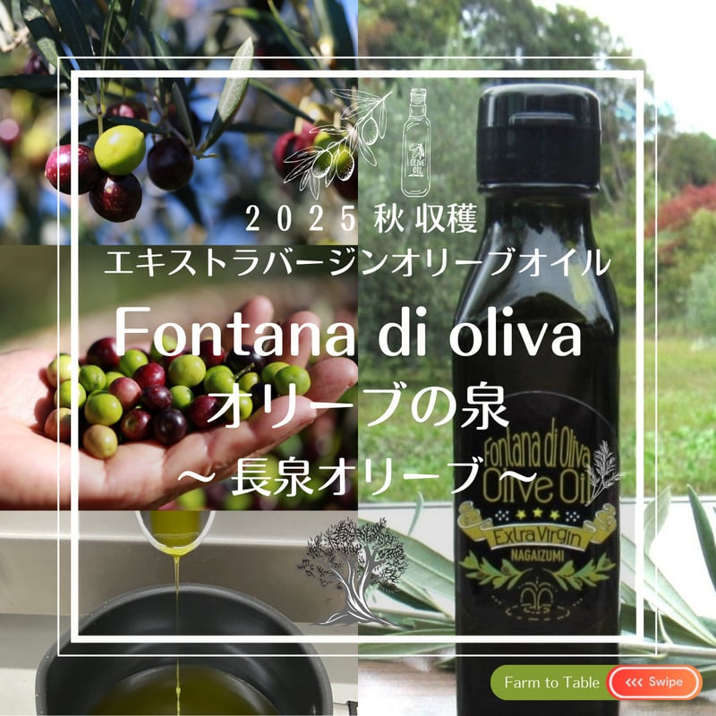 単品購入】2025年秋収穫 静岡県産 手摘みオリーブオイル 100ml