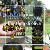 【完売御礼・野菜商品に同梱・送料節約】2025年秋収穫 静岡県産 手摘みオリーブオイル 100ml ☆ Fontana di oliva（オリーブの泉）5品種ブレンド