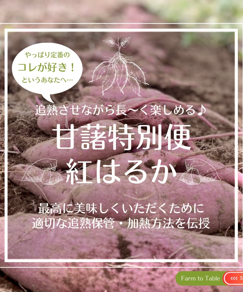奏 農家さん違い 紅はるか切り落とし 3セット みーちゃん 農家さん違い食べ比べ♪♪ 紅はるか切り落とし 3