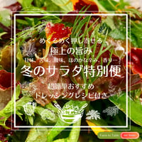 【完売御礼】2025 極上の旨み☆冬のサラダ特別便（Mサイズ：約12人前想定）Sサイズよりお得！