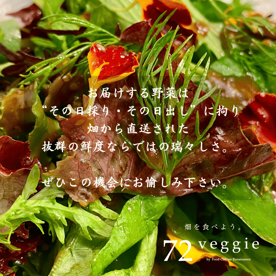 675443b200d7d5372290e84e