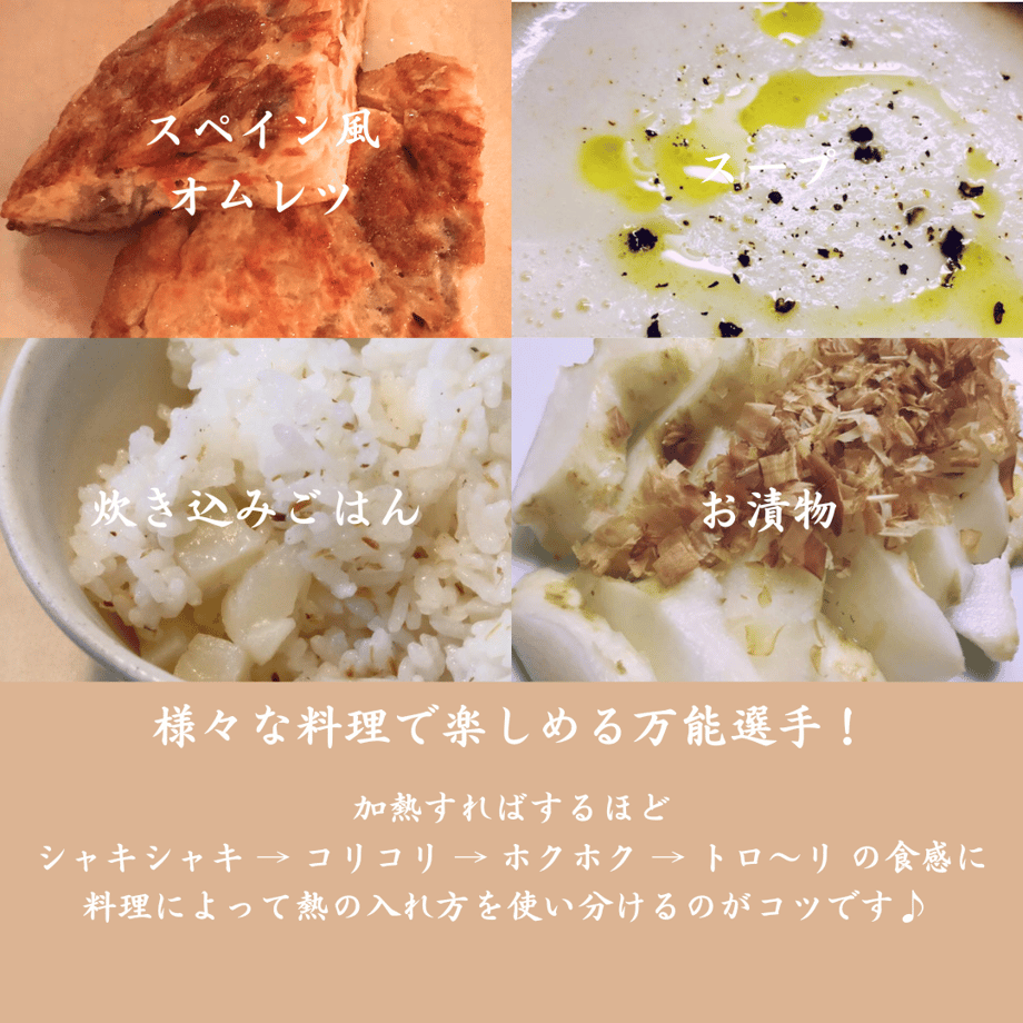 6911f78920d2995e0f780140