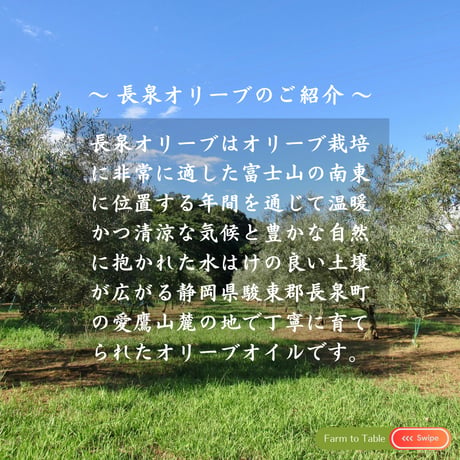 【完売御礼・単品購入】2025年秋収穫 静岡県産 手摘みオリーブオイル 100ml ☆ Fontana di oliva（オリーブの泉）5品種ブレンド