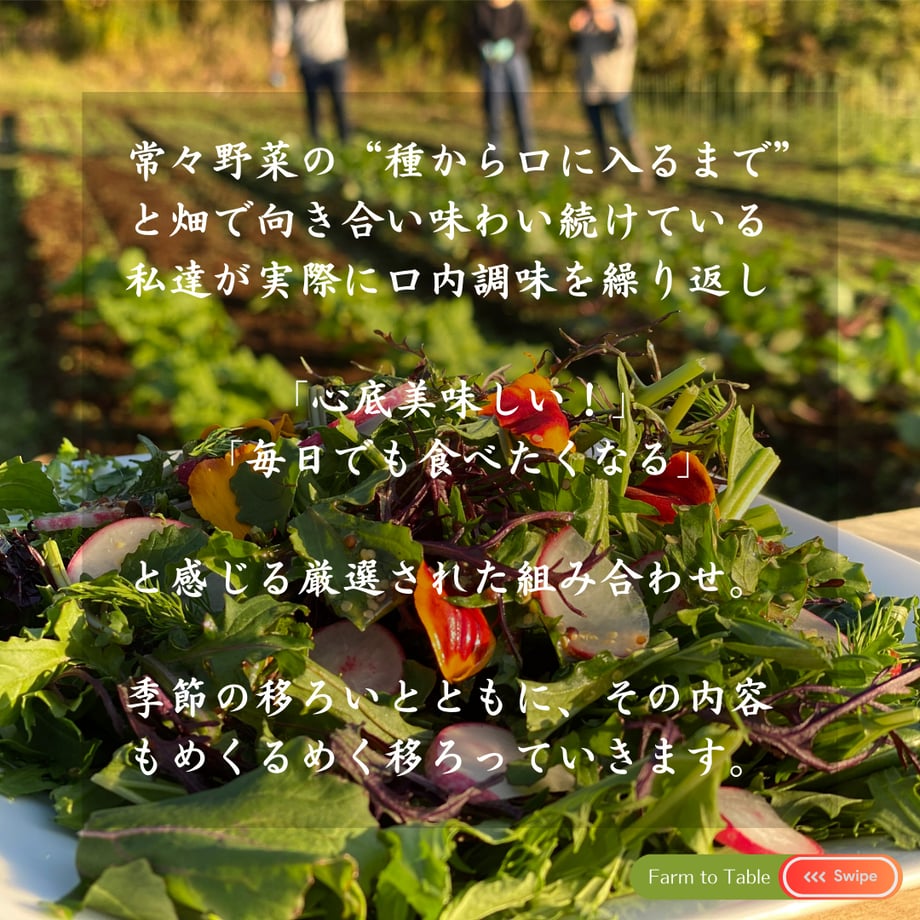 675443b200d7d5372290e84e
