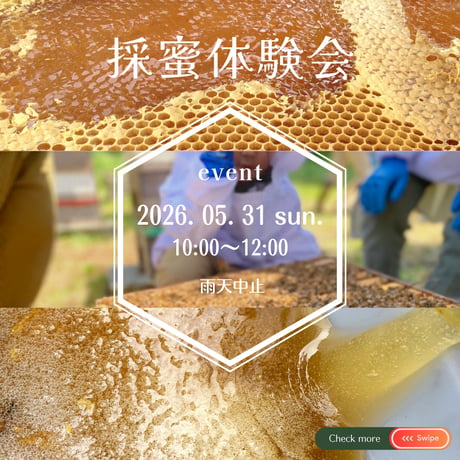 【満員御礼・終了】参加チケット 🍯 採蜜体験会 5/31（日）搾りたて天然蜂蜜お土産付き
