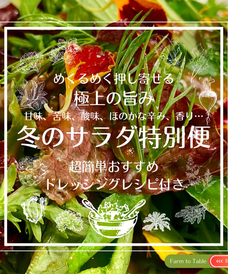 香味野菜ページ 極上の旨み☆冬のサラダ特別便（Sサイズ：約8人前想定） | 72veggie shop