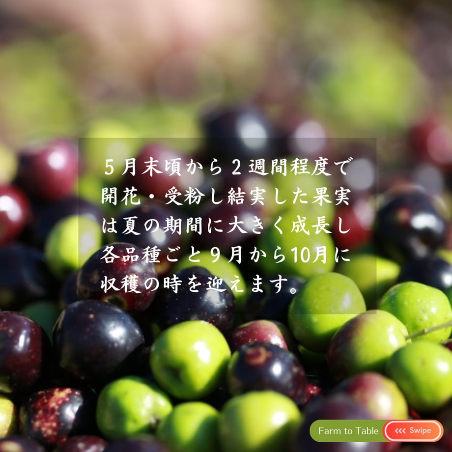 6764381a646cf114db0f5edd