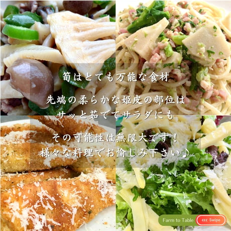 【今季終了】4月限定 ☆ 掘ってすぐに直送！筍 特別便