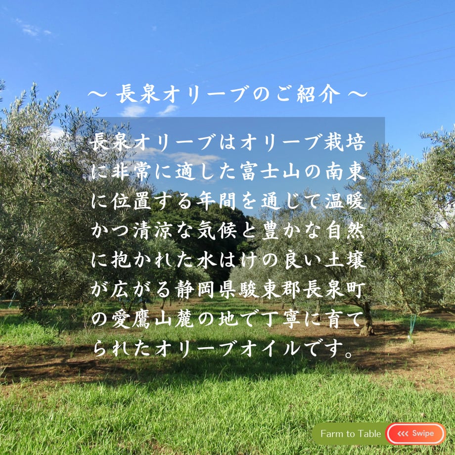 6764381a646cf114db0f5edd