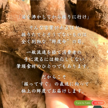 【今季終了】4月限定 ☆ 掘ってすぐに直送！筍 特別便