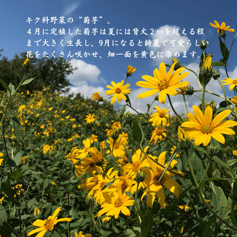 6911f78920d2995e0f780140