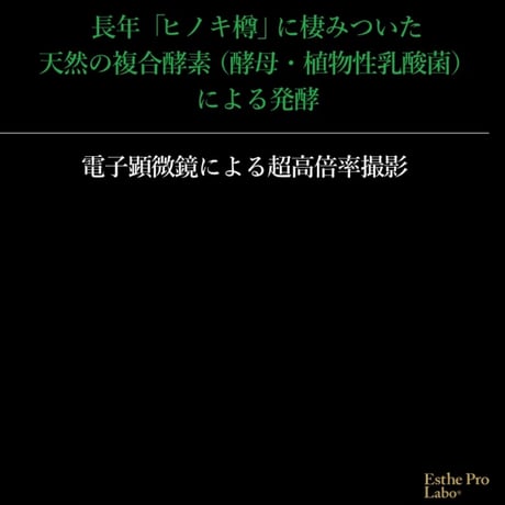 １１３種類の栄養素98%配合
