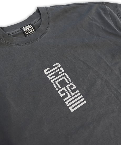 Double-Layer All-seeing T
