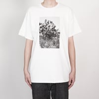 OfMatter SS 02